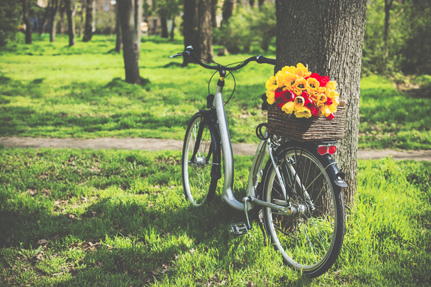 ποδήλατο με λουλούδια - Φωτογραφία, εικόνα