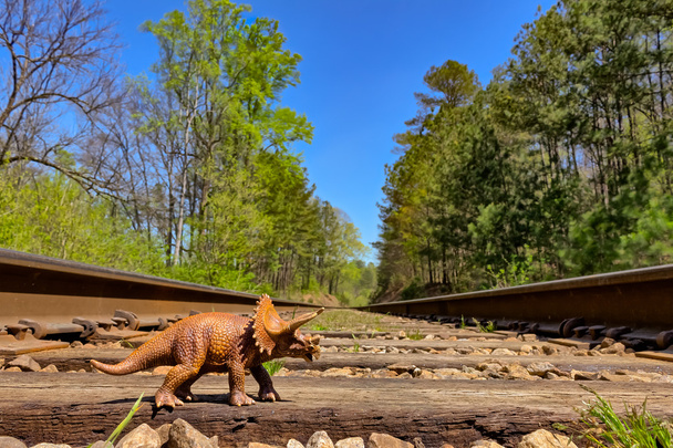 A Triceratops séta a régi vasúti road pálya - Fotó, kép