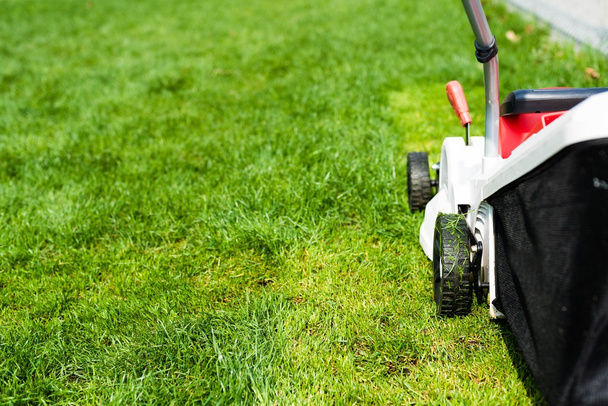 Lawn mower cutting green grass.  - Photo, Image