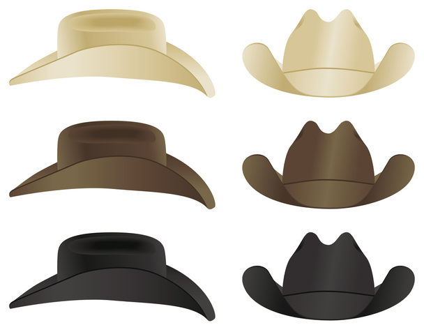 Cowboy hat front and side views - Vector, imagen