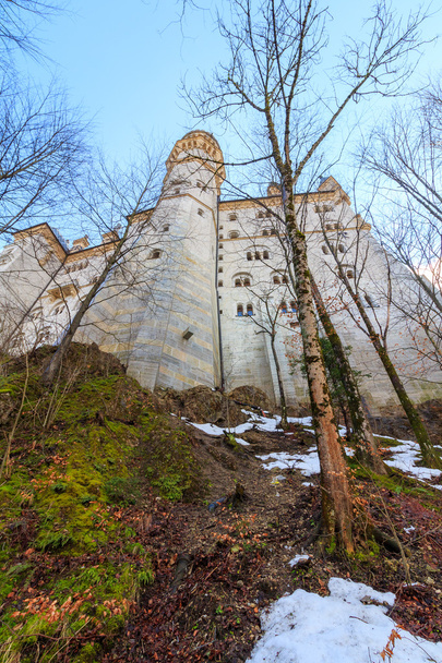 Château Neuschwanstein à Schwangau, Allemagne (Bavière
) - Photo, image