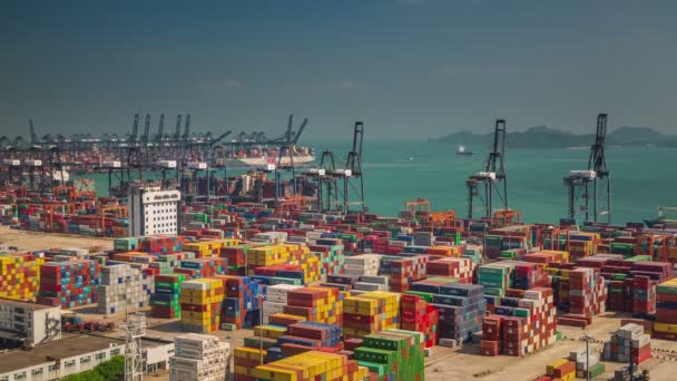 kínai nap könnyű nap munka port bay 4 k idő megszűnni shenzhen - Felvétel, videó