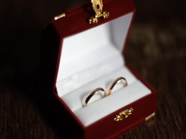 anillos de boda en una caja - Metraje, vídeo