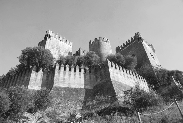 Castillo de Almodovar del Rio. Almodovar zamek w Kordoba, Hiszpania - Zdjęcie, obraz