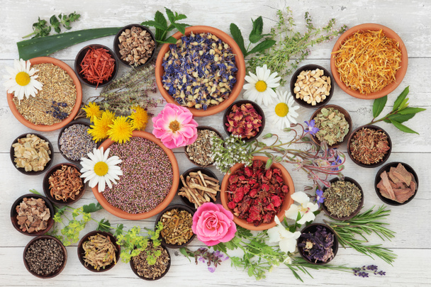 Φαρμακευτικά φυτά και λουλούδια - Φωτογραφία, εικόνα