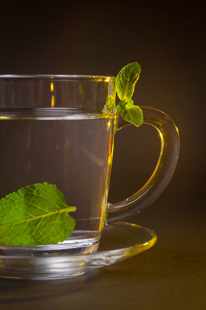 Une tasse de thé vert et menthe sur fond sombre
 - Photo, image