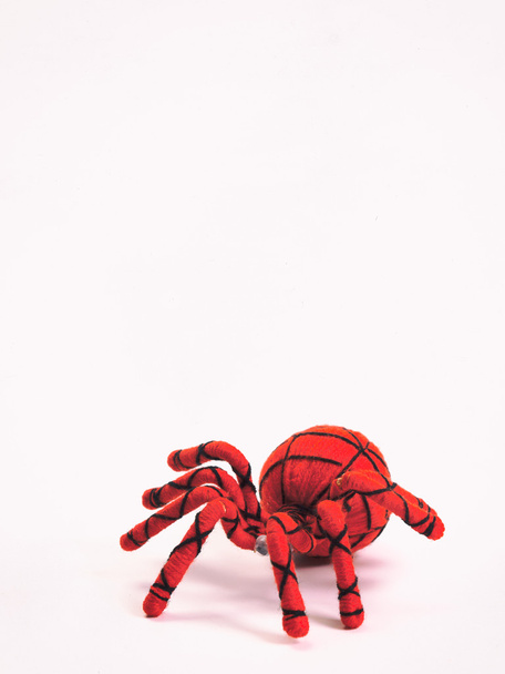 spider , a doll - Photo, image