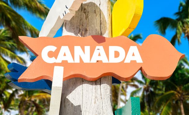 Kanada signpost pálmafákkal - Fotó, kép