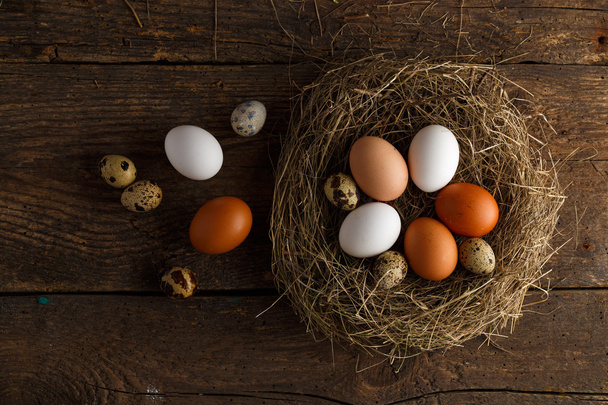 Taze tavuk ve Bıldırcın yumurta ahşap arka plan üzerinde bir yuva - Fotoğraf, Görsel