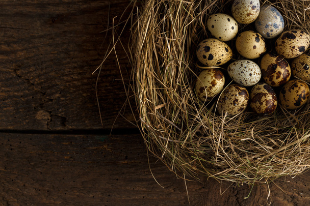 Œufs de caille frais dans un nid sur un fond en bois
 - Photo, image