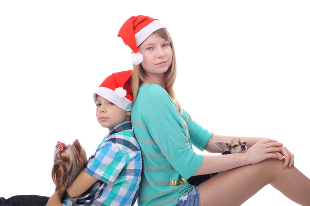 Christmas  kids and dogs - Foto, afbeelding