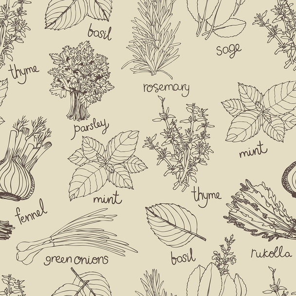 Herbs background - Vecteur, image