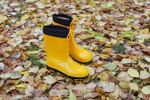 Yellow rubber boots - Photo, image