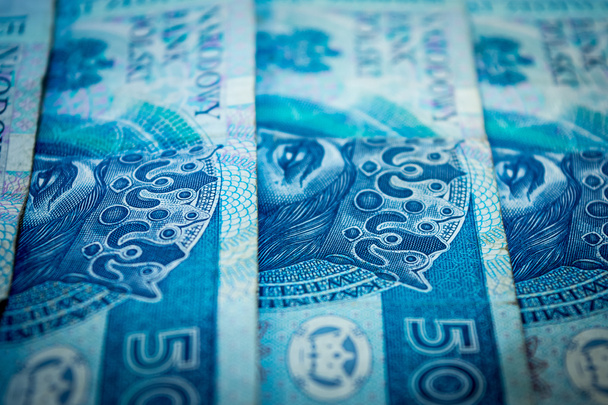 Lengyel pénz, ötven lengyel zloty - Fotó, kép