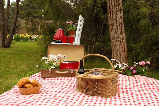 Пикник в весеннем парке
 - Фото, изображение