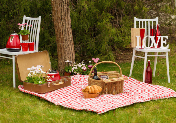 Пикник в весеннем парке
 - Фото, изображение