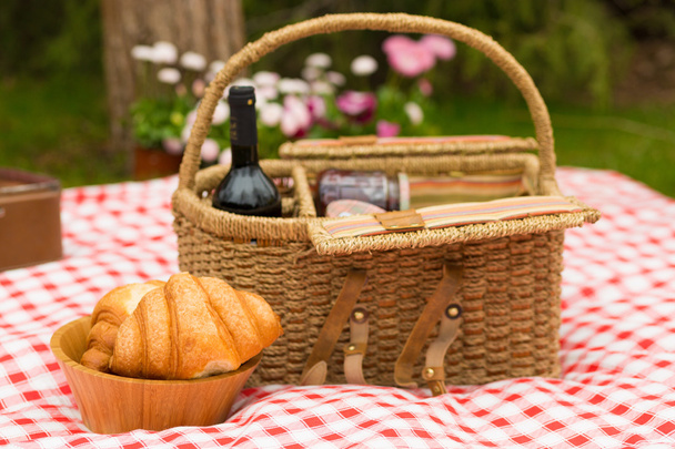 Piknik w parku - Zdjęcie, obraz