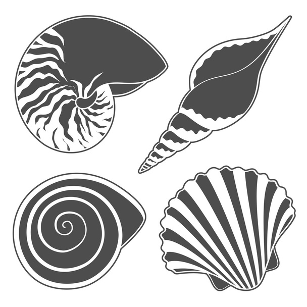 Set of graphic sea shells. Isolated objects - Vektor, Bild