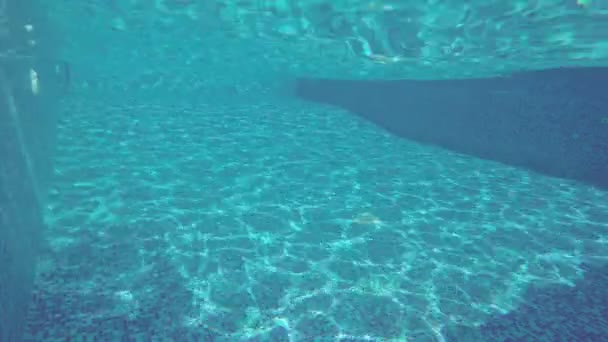 A fickó búvárkodás a medence, víz alatti úszás. Nyári vakáció - Felvétel, videó