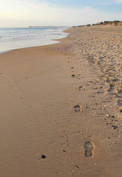 A tengerparton Észak-Karolinában függőleges nyomában - Fotó, kép