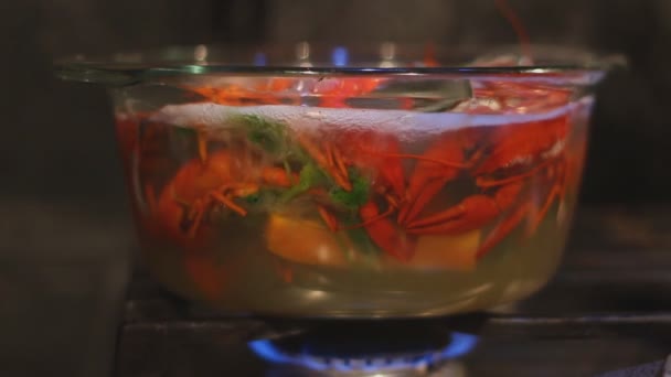 透明なガラスのポットではザリガニを料理 - 映像、動画