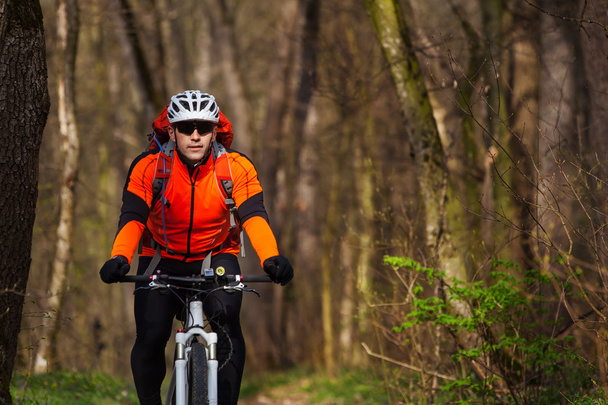 Mountain Bike cyclist riding single track - Fotoğraf, Görsel