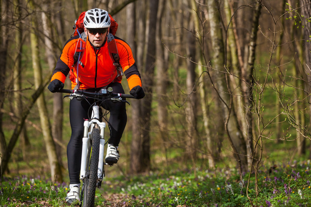 Mountain Bike cyclist riding single track - Fotoğraf, Görsel