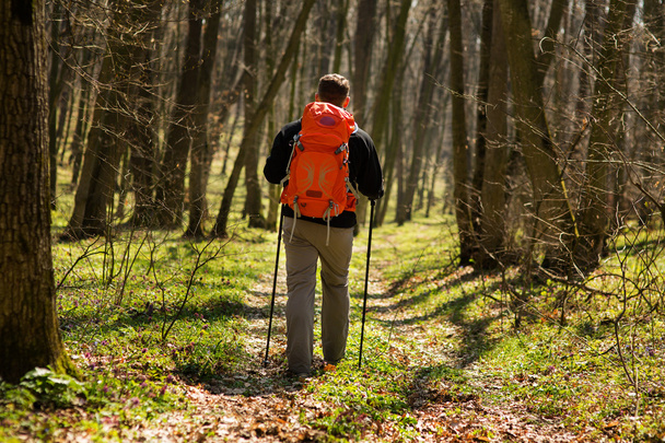 Active healthy man hiking in beautiful forest - Photo, image
