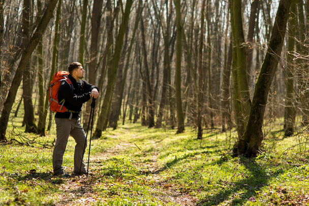 Active healthy man hiking in beautiful forest - Fotografie, Obrázek