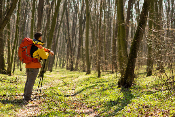 Active healthy man hiking in beautiful forest - Valokuva, kuva