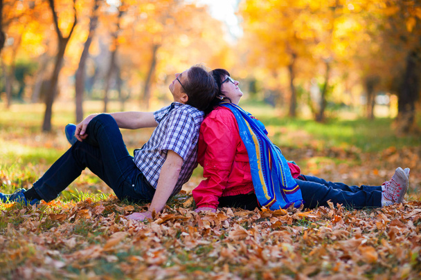 Porträt eines Paares gelber Herbstblätter - Foto, Bild