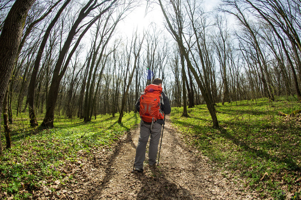 Male hiker looking to the side walking in forest - Φωτογραφία, εικόνα