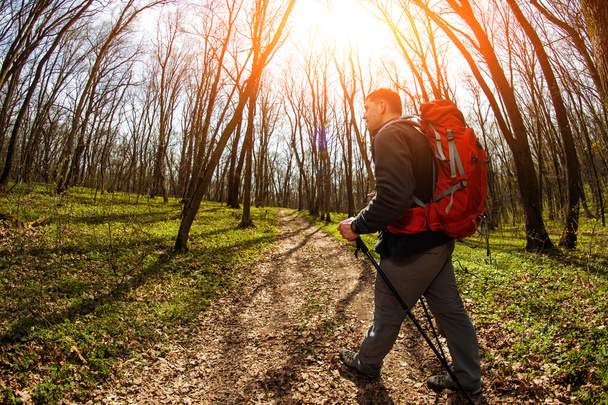 Male hiker looking to the side walking in forest - Fotoğraf, Görsel