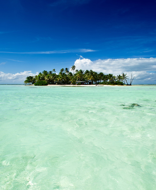 Île tropicale inhabitée dans l'océan Pacifique
 - Photo, image