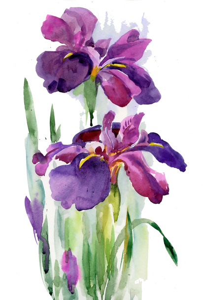 Watercolor blooming iris flowers - Fotografie, Obrázek