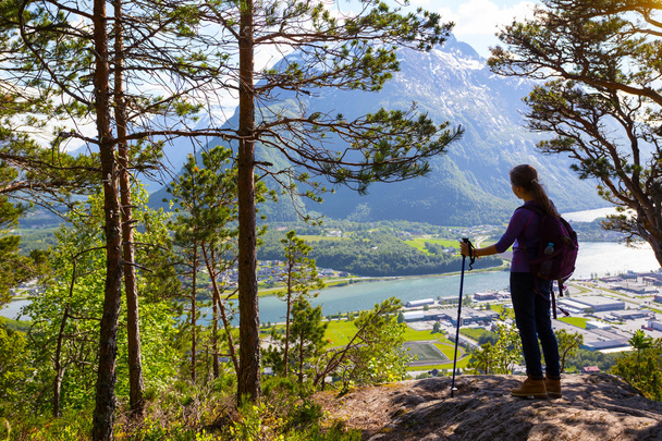 tourist girl and Romsdalsfjorden 3 - Photo, Image