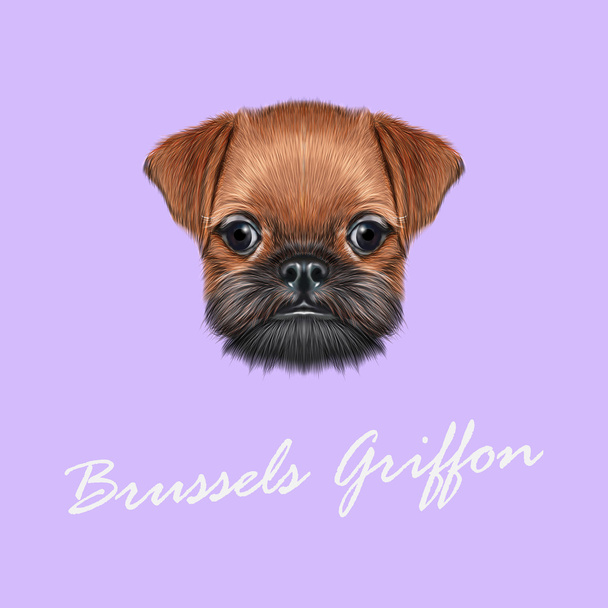 Vector Illustrated portrait of Brussels Griffon puppy.  - Vector, Image