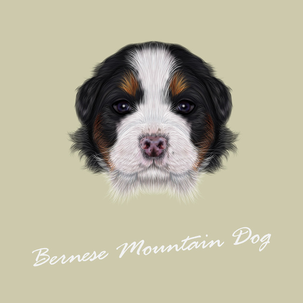 Vector Illustrated portrait of Bernese Mountain puppy.  - Vector, Image