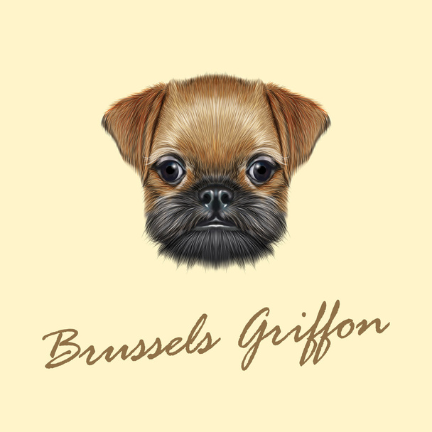 Vector Portrait illustré du chiot Griffon de Bruxelles
.  - Vecteur, image