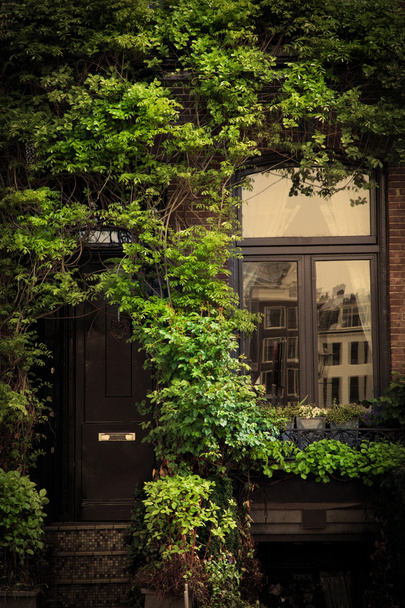 Retro vintage house entrance, ivy leaves - Фото, зображення