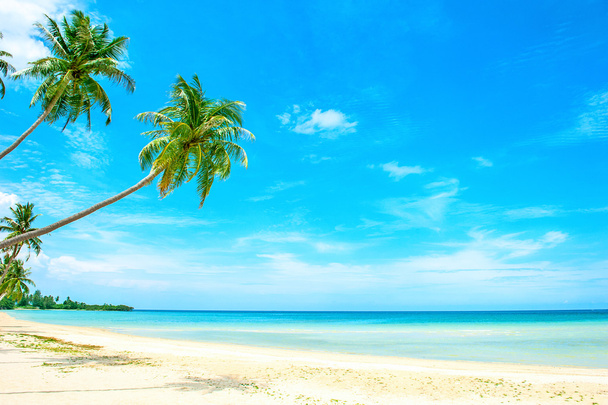 красивый пляж и тропическое море - Фото, изображение