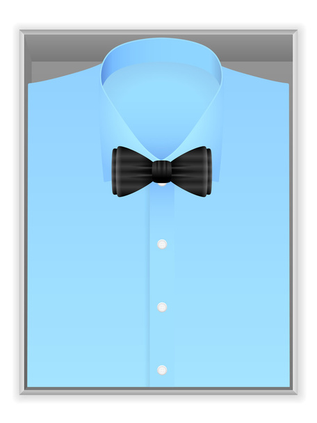 Blue shirt and bow tie in box - Vector, Imagen