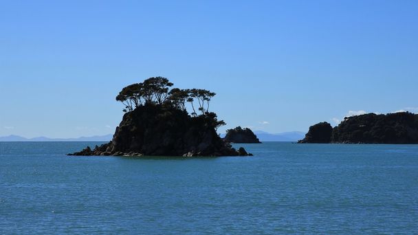 Terug verlichte eiland met bomen in het Abel Tasman National Park - Foto, afbeelding
