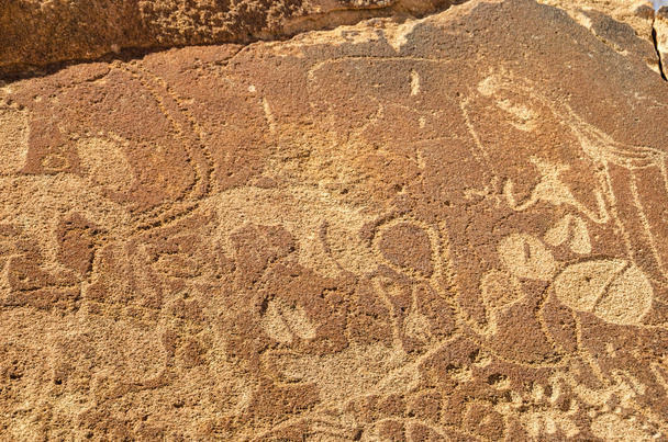 Rock carvings in Twyfelfontein - Photo, Image