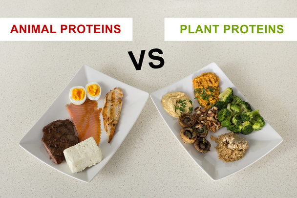 proteínas animales versus vegetales
 - Foto, imagen