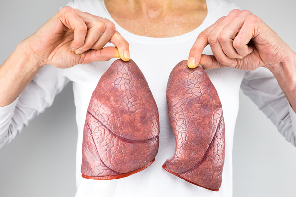 Kobieta trzyma dwa modele płuc przed klatki piersiowej - Zdjęcie, obraz
