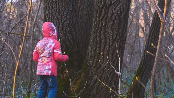 Meisjes in het bos rondrennen boom - Video