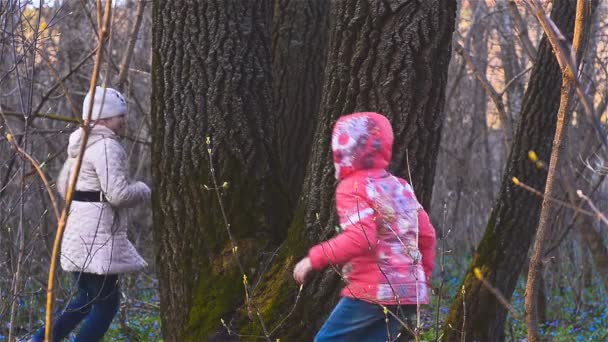 Meisjes in het bos rondrennen boom - Video