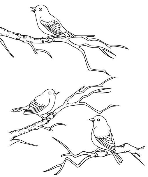 Bird sitting on a branch - Vector, Imagen