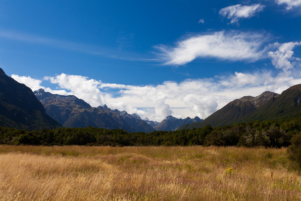 フィヨルドランド国立公園、ニュージーランドでエグリントン渓谷の高峰 - 写真・画像